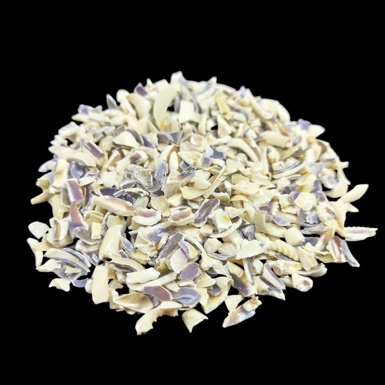 Earthmines Cowrie Shell Gemstone Crushed 3-5mm Natural Loose Stone for Vase Fillers, Crystal Decor, Reiki, Chakra Healing & Feng Shui - Image 3
