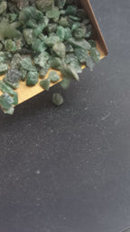 Earthmines Green Jade Gemstone Crushed 3-5mm Natural Loose Stone for Vase Fillers, Crystal Decor, Reiki, Chakra Healing & Feng Shui